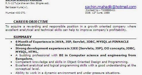 6 month experience resume for software developer