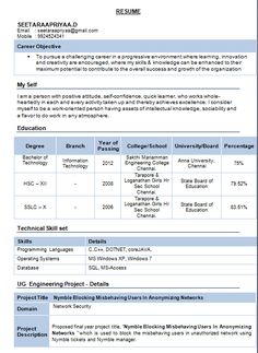 100 resume format for experienced sample template example of
