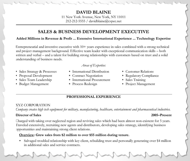 expertise in resumes thevillas co