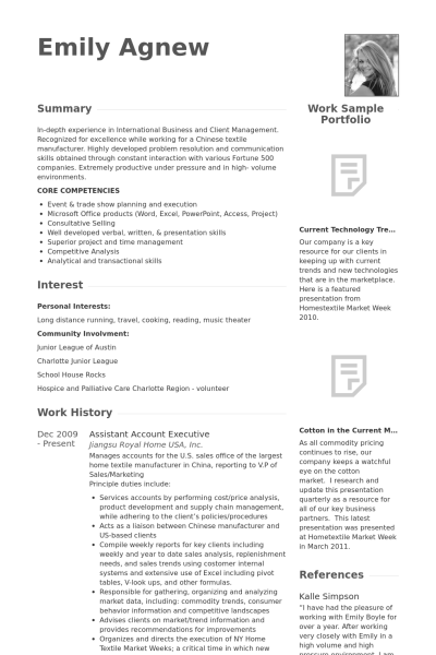 assistant account executive resume samples visualcv resume samples