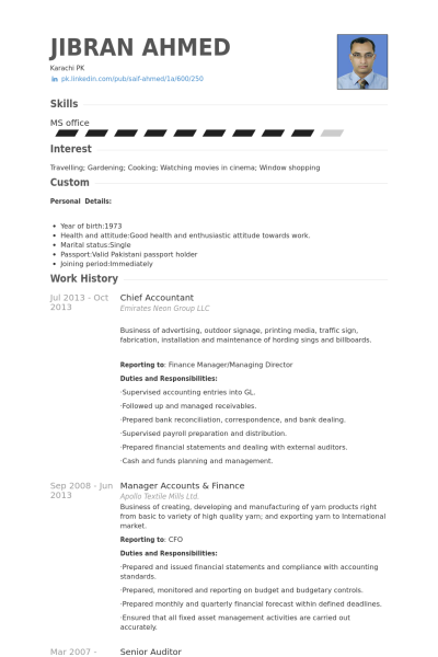 chief accountant resume samples visualcv resume samples database
