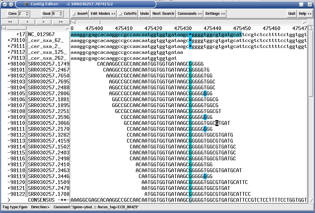 sequence assembly and mapping