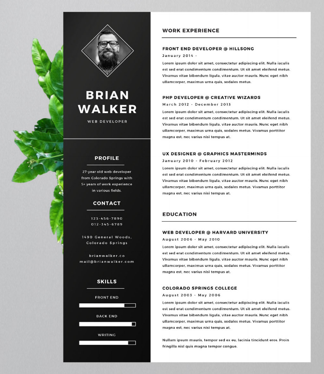 the 17 best resume templates for every type of professional