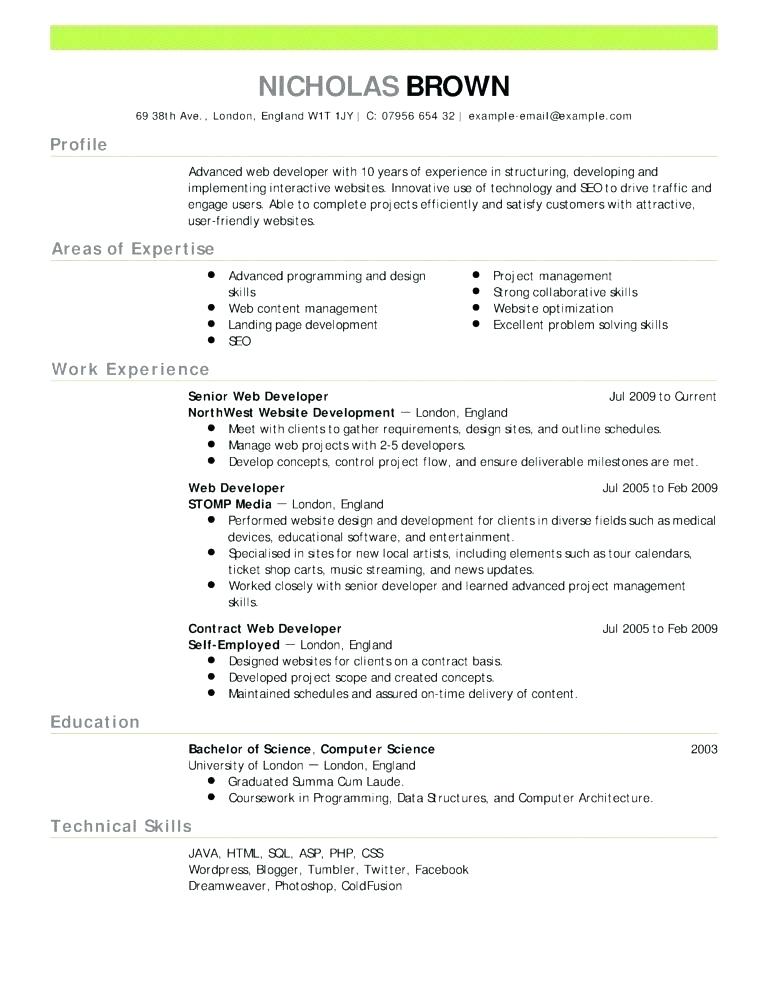 excellent resume example job resume template word marketing resume
