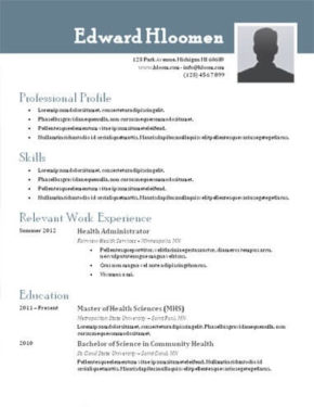 good resume format cypru hamsaa co