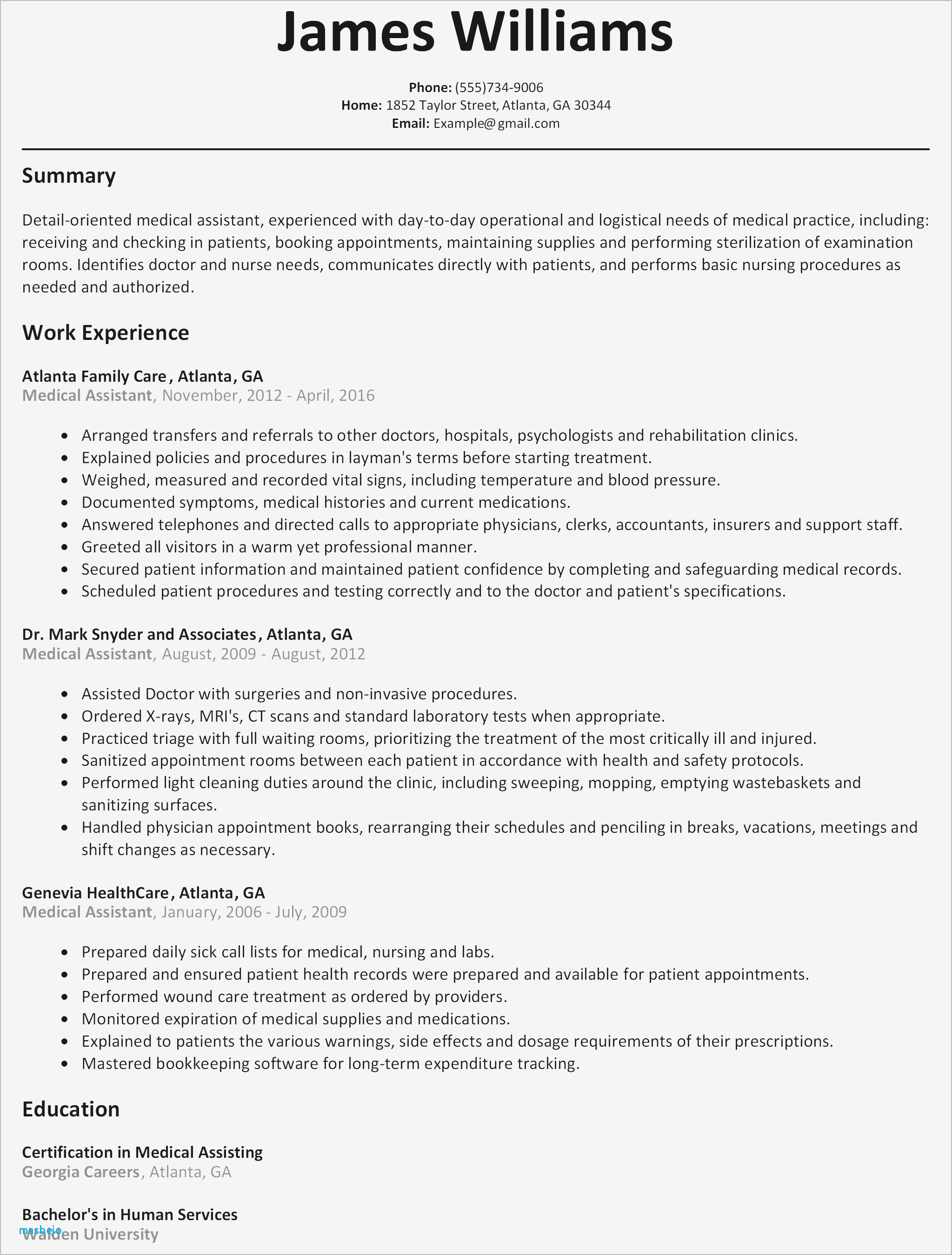great resume examples 2016 resume
