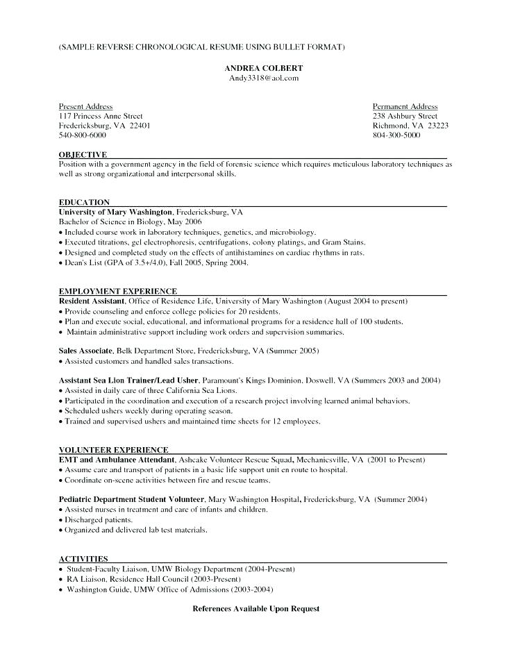 a simple resume example resume template for internship resume