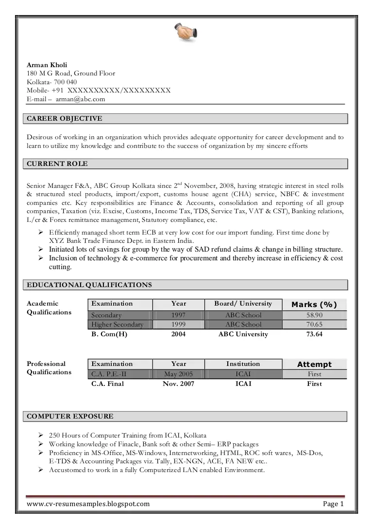 excellent work experience professional chartered accountant resume sa