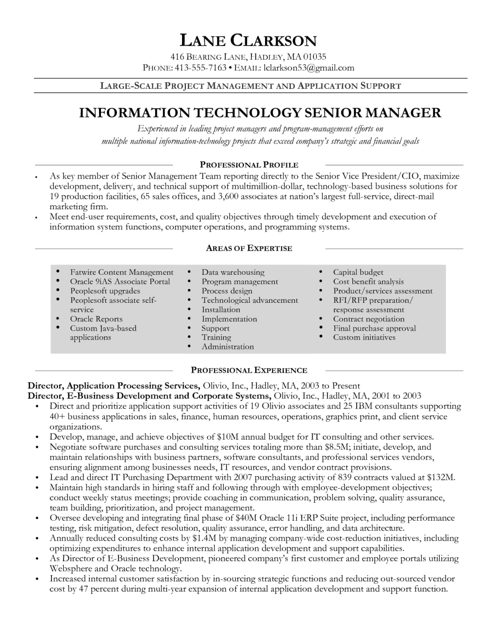 information technology senior project manager resume sample good