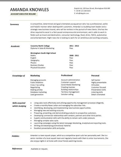 student entry level account executive resume template