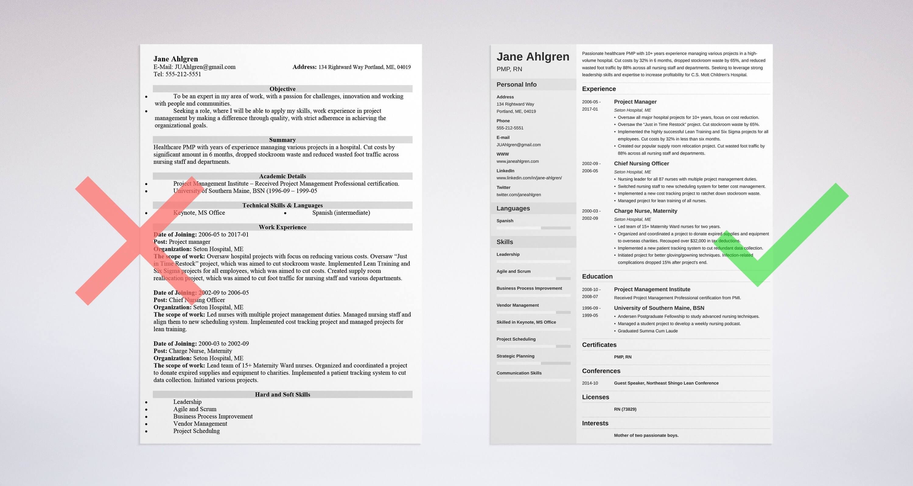technical project manager resume sample doc example pdf software cv
