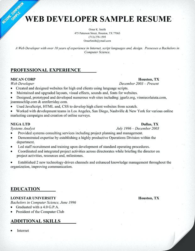 resume net developer