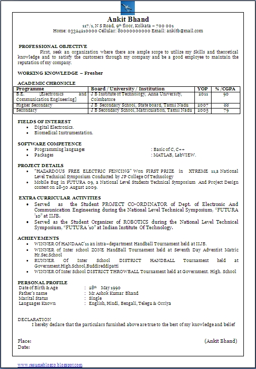 1 page resume format for freshers fast lunchrock co