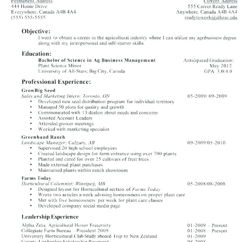 basic job resume examples basic resume outline sample basic resume