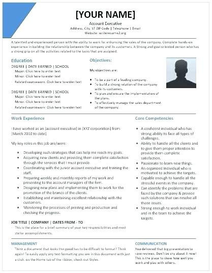 advertising account executive resume sample account executive resume