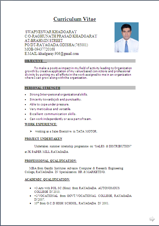 resume sample in word document mba marketing sales fresher