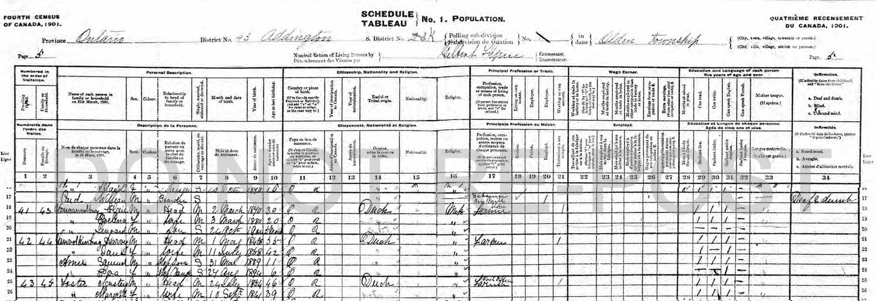 census records census 1901