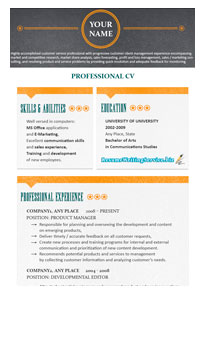 choose the best resume format 2014 here