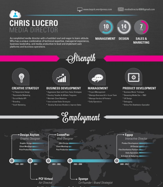 top 5 resume infographics