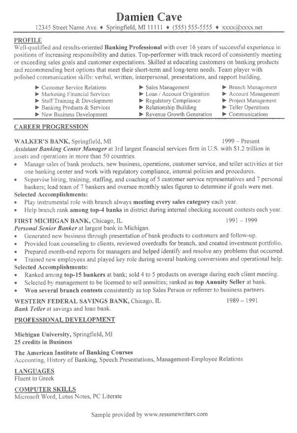 banking executive resume example financial services resume samples