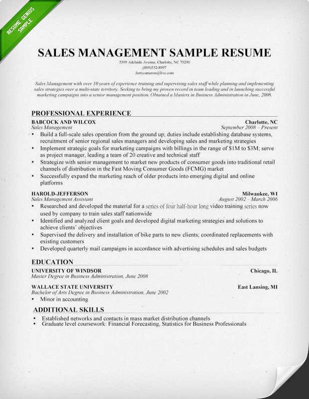 sales manager resume sample writing tips
