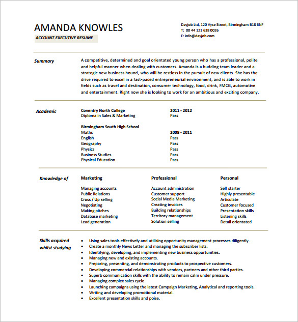 executive resume template 12 free word excel pdf format download