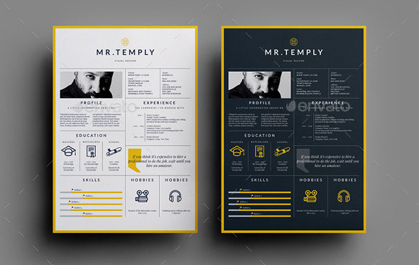 30 best resume template designs 2015 web graphic design bashooka