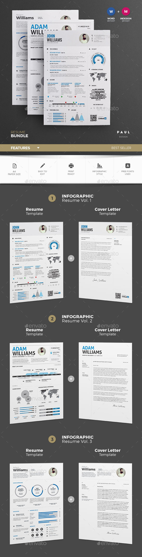 best infographic resume templates for you