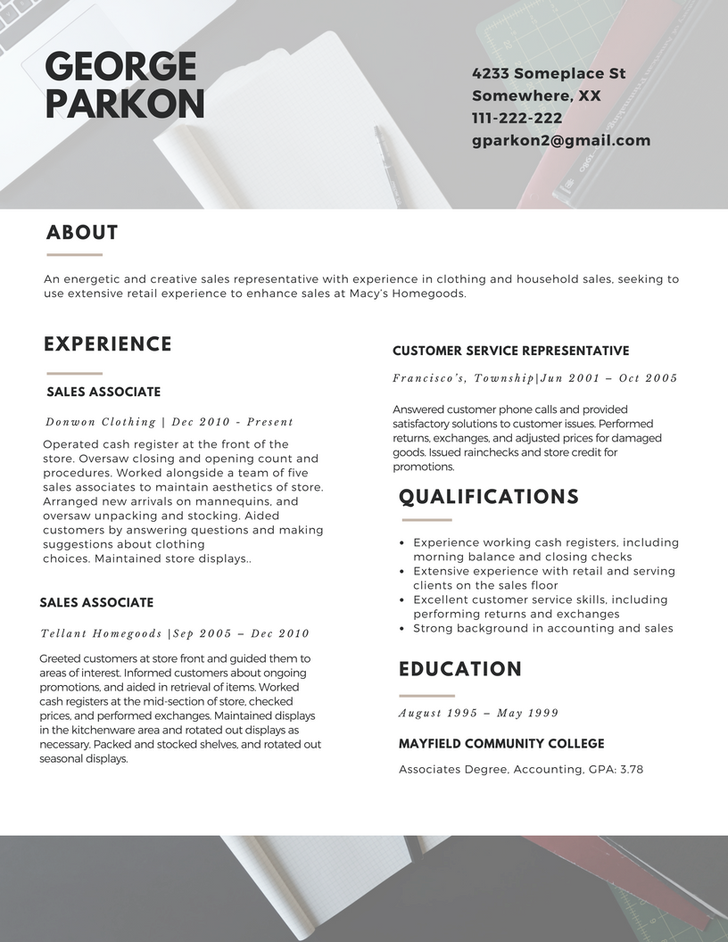 the professional resume layout 2017