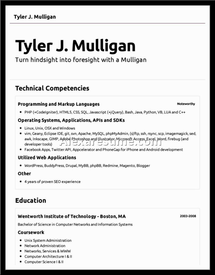 basic resumes examples resume templates
