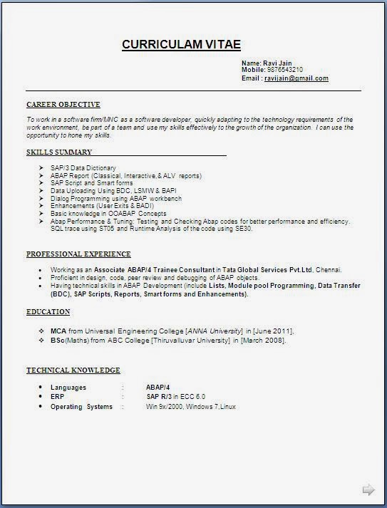 download resume format amp write the best resume resume formatting