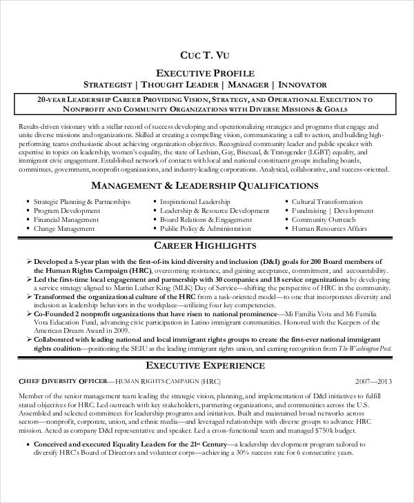 20 best executive resume templates pdf doc free premium