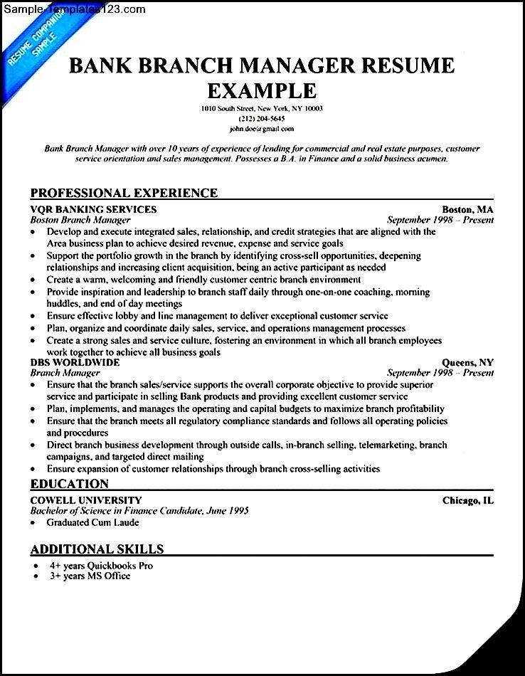 best resume format 2013