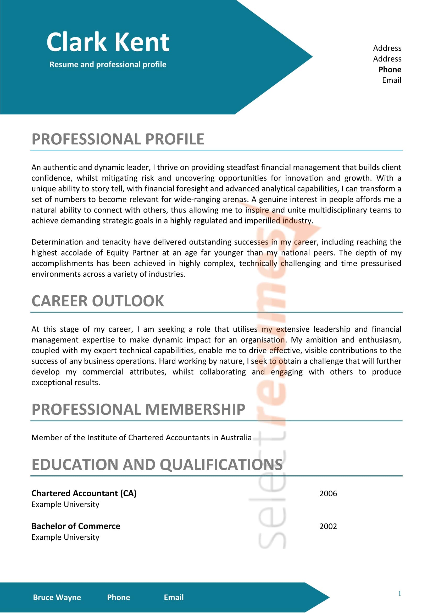 professional resume writing services select resumes